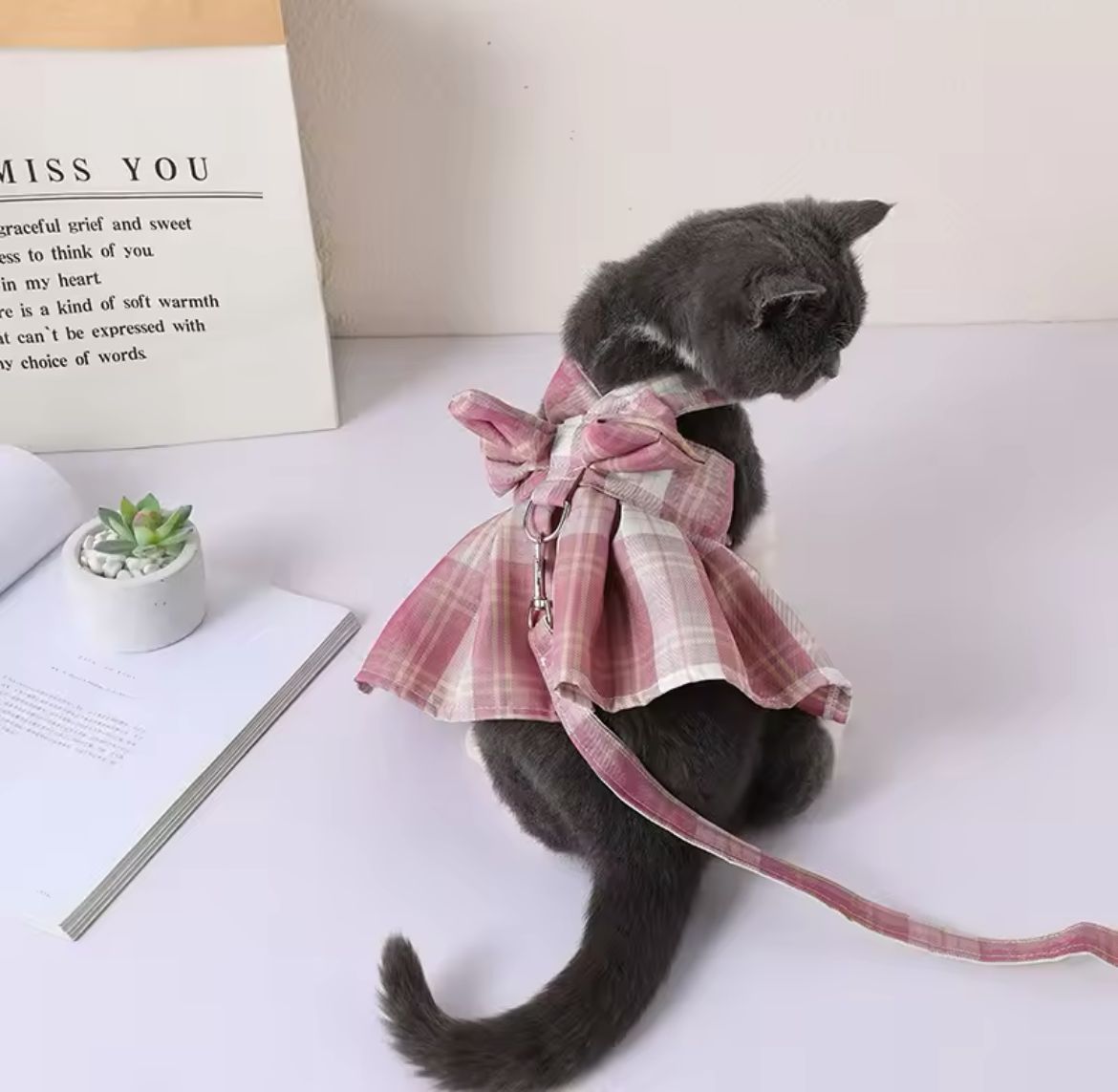 Peitoral Vestido