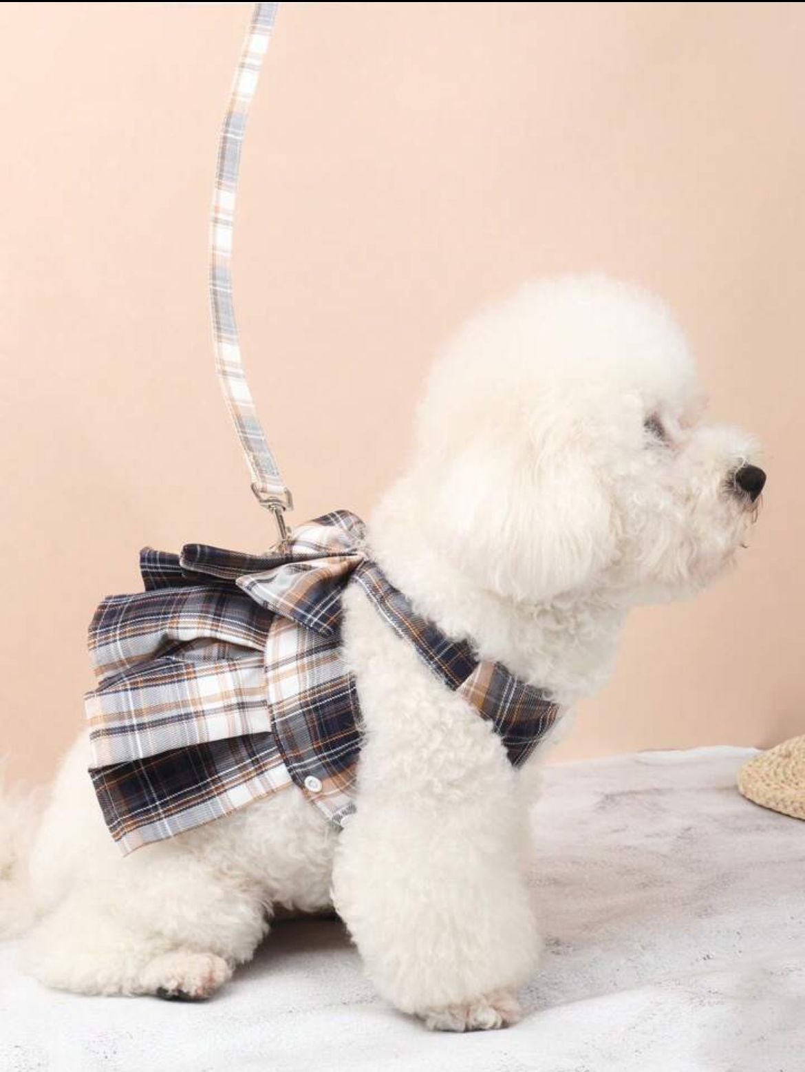 Peitoral Vestido