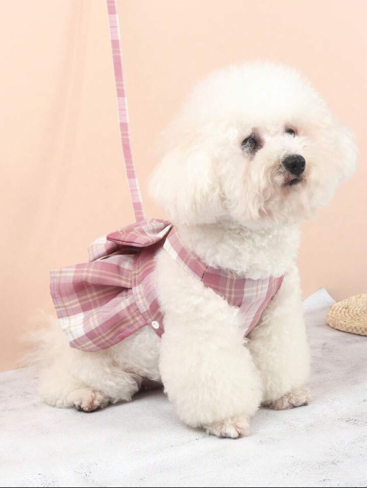 Peitoral Vestido