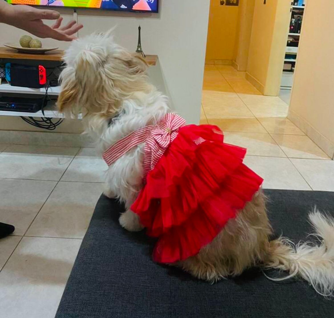 Vestido Laço - Vermelho