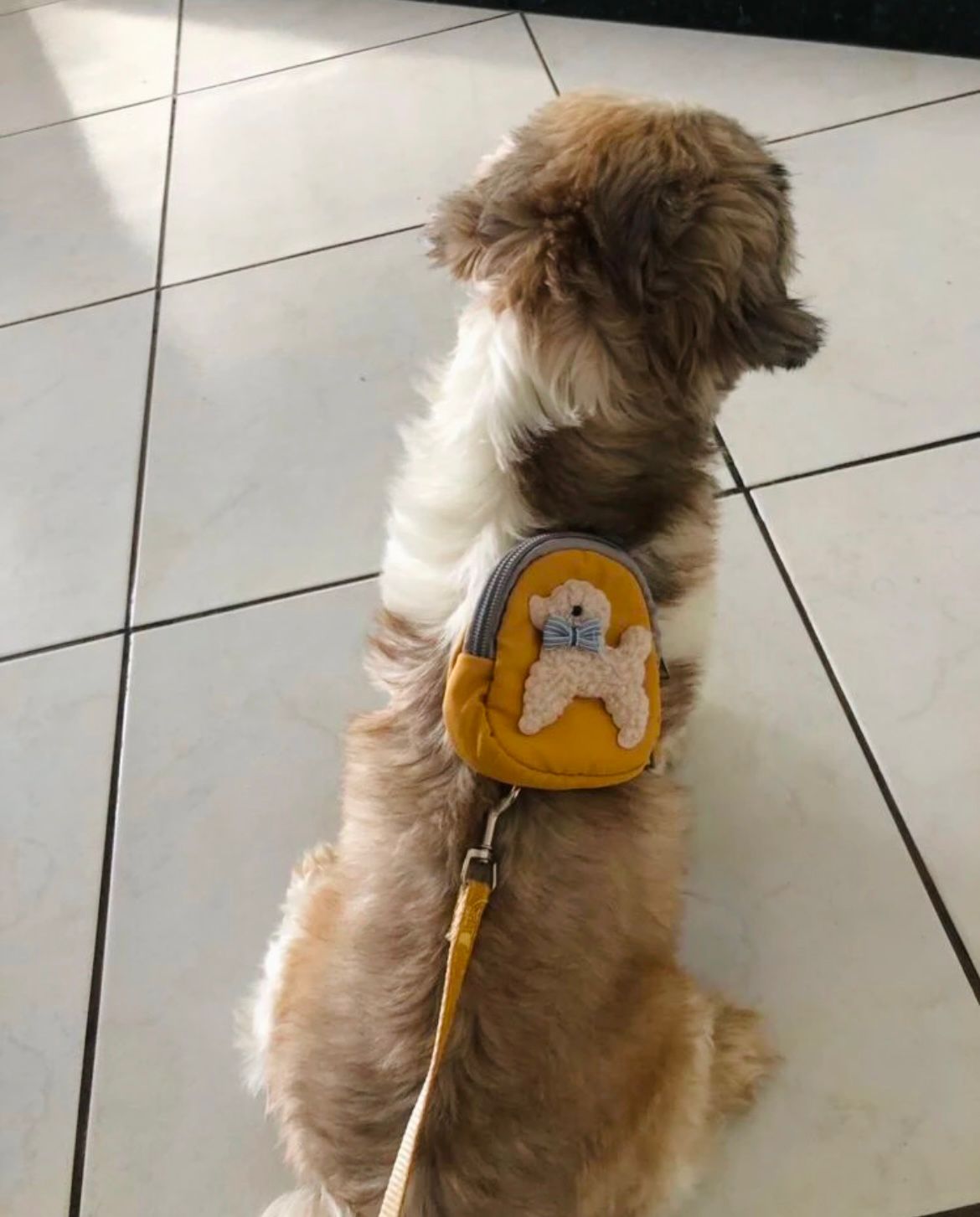Peitoral Mini Mochila