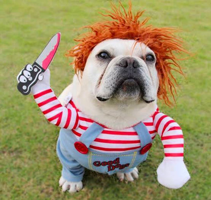 Fantasia Pet do Chucky