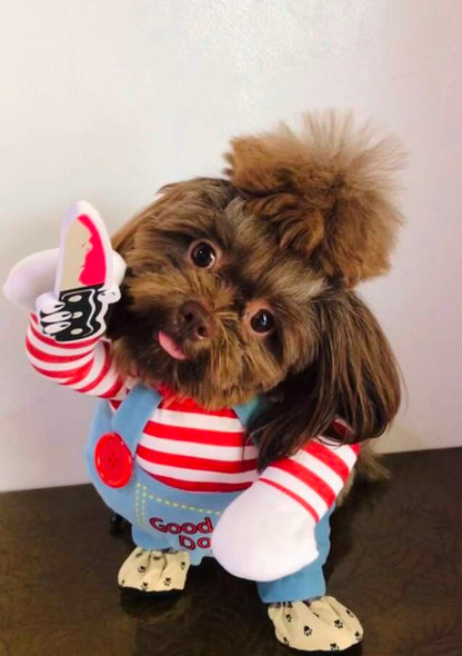 Fantasia Pet do Chucky