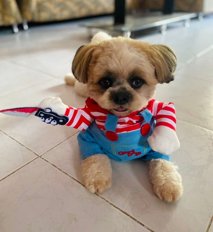 Fantasia Pet do Chucky