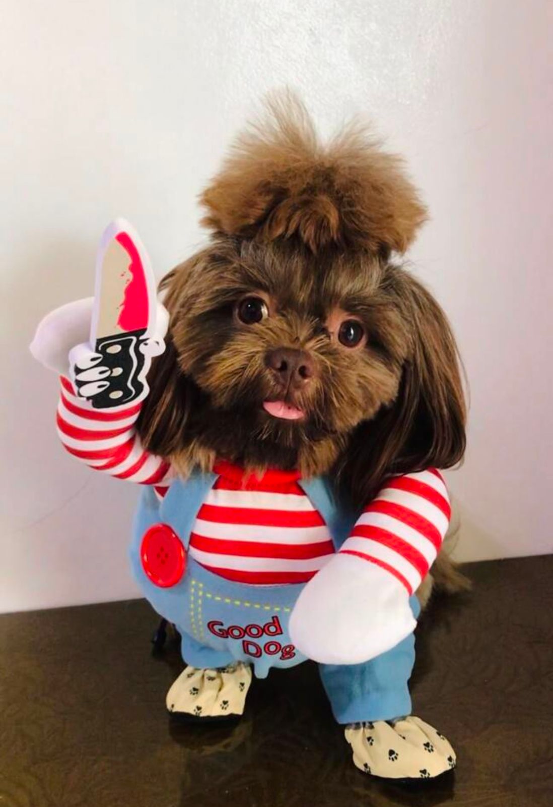 Fantasia Pet do Chucky