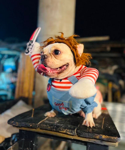 Fantasia Pet do Chucky