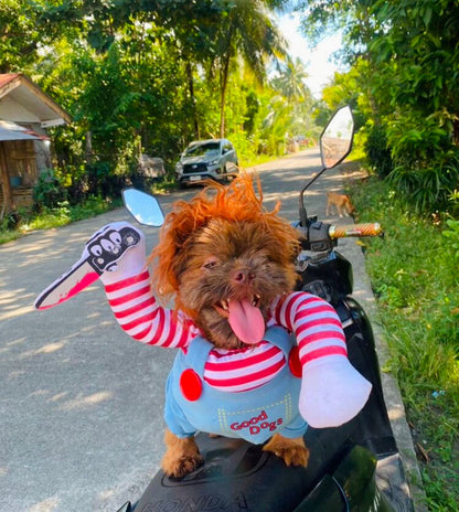 Fantasia Pet do Chucky