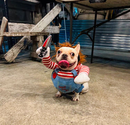 Fantasia Pet do Chucky