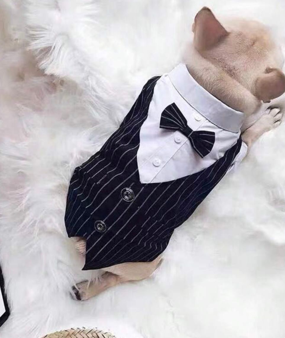 Roupa Social - Preto