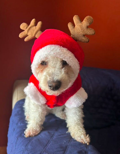 Fantasia Rena Arvore de Natal