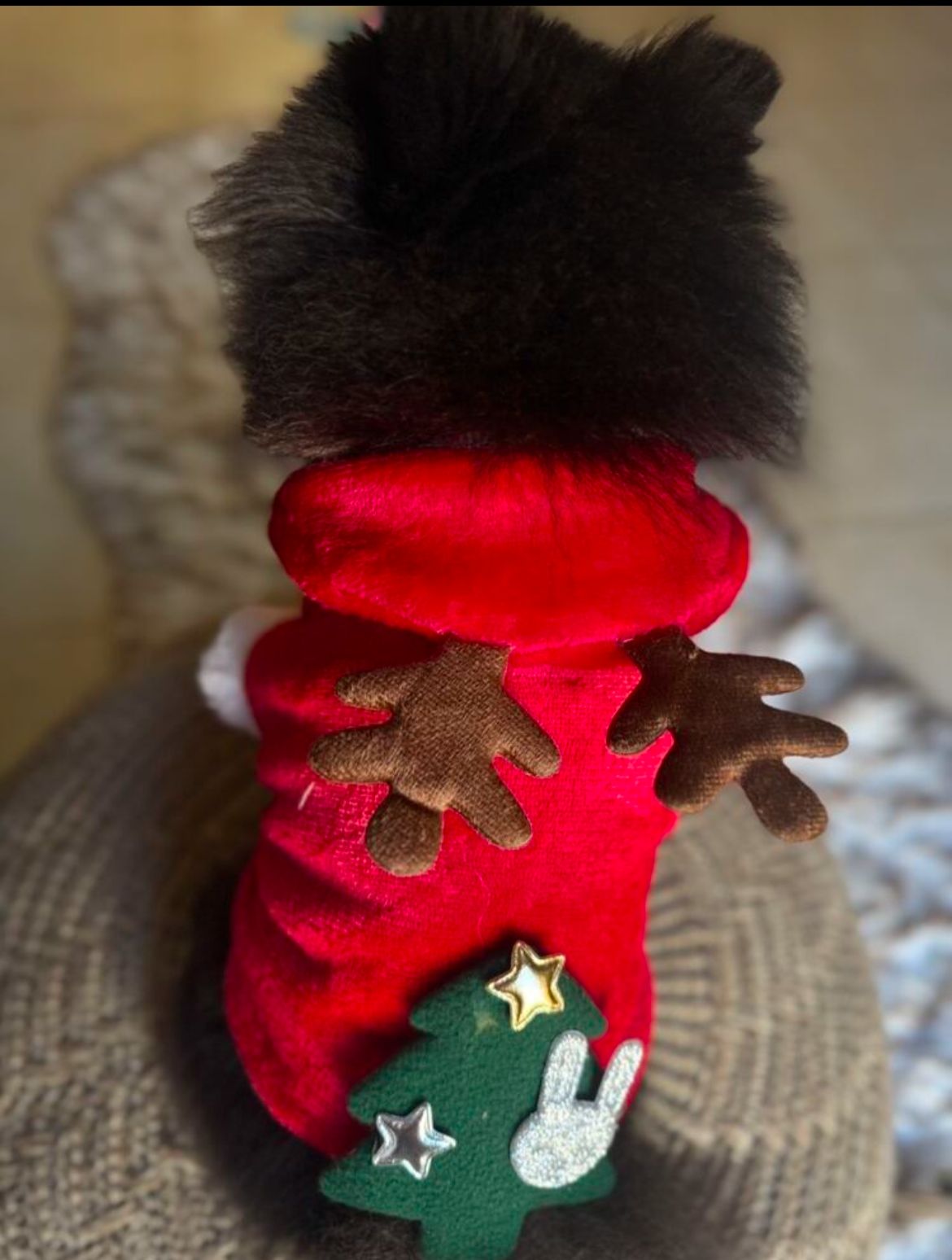 Fantasia Rena Arvore de Natal