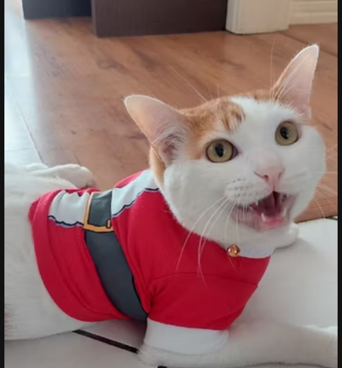 Roupa Noel