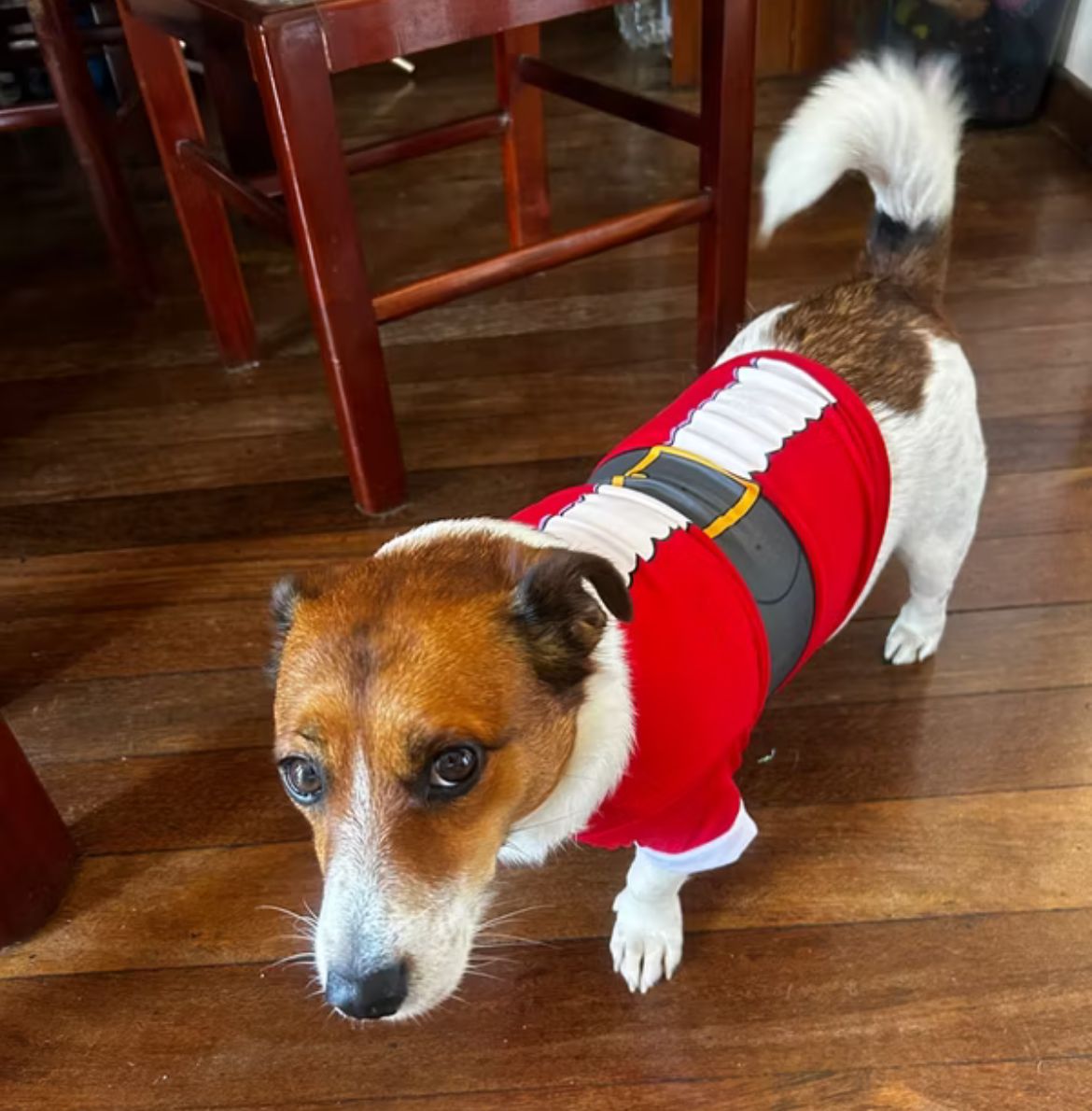Roupa Noel