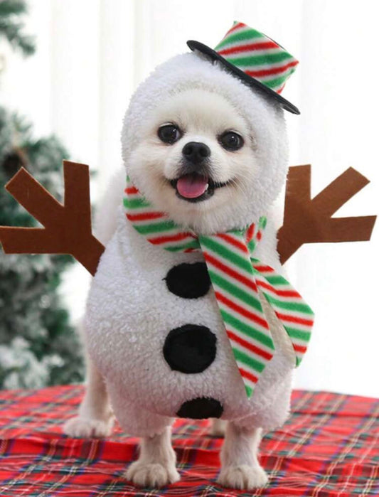 Fantasia Natal Boneco de Neve