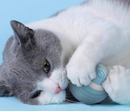 Bolinha Especial
