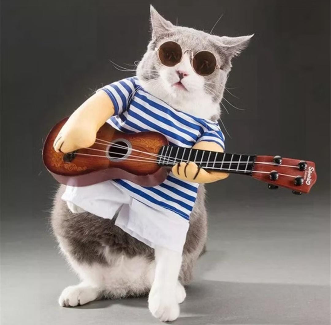 Fantasia Músico