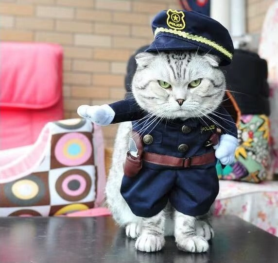 Fantasia Police