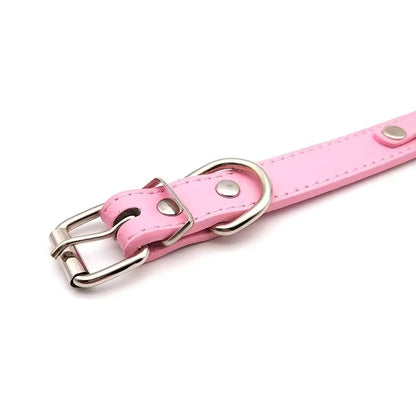 Coleira Personalizada Pipet - Rosa